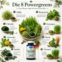 Green Power Greens 8x Chlorophyll Supergreens 120 Pulver Kapseln Alfalfa Brennnessel Chlorella Gerstengras Löwenzahn Matcha Spirulina Weizengras. Natur pur. Ohne Zusatzstoffe.
