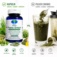 Green Power Greens 8x Chlorophyll Supergreens 120 Pulver Kapseln Alfalfa Brennnessel Chlorella Gerstengras Löwenzahn Matcha Spirulina Weizengras. Natur pur. Ohne Zusatzstoffe.