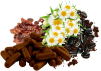 Myrrhe, Kamille und Kaffeekohle 120 Pulver Kapseln