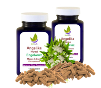 Angelikawurzel ENGELWURZ 240 Kapseln 400mg MAGEN & DARM entspannen nach Hildegard von Bingen ►OHNE ZUSATZSTOFFE (2 Dosen a 120 Kapseln)