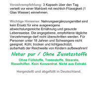 Angelikawurzel ENGELWURZ 240 Kapseln 400mg MAGEN & DARM entspannen nach Hildegard von Bingen ►OHNE ZUSATZSTOFFE (2 Dosen a 120 Kapseln)