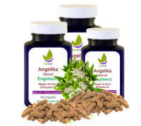 Angelikawurzel ENGELWURZ 360 Kapseln 400mg MAGEN & DARM entspannen nach Hildegard von Bingen ►OHNE ZUSATZSTOFFE (3 Dosen a 120 Kapseln)