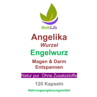 Angelikawurzel ENGELWURZ 360 Kapseln 400mg MAGEN & DARM entspannen nach Hildegard von Bingen ►OHNE ZUSATZSTOFFE (3 Dosen a 120 Kapseln)