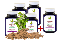 Angelikawurzel ENGELWURZ 600 Kapseln 400mg MAGEN & DARM entspannen nach Hildegard von Bingen ►OHNE ZUSATZSTOFFE
