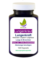 Geflecktes Lungenkraut Rauchentwöhnung Atemwegsbeschwerden Pulmonariae Erkältung Raucherlunge Staublunge Pulmonaria officinalis 120 Kapseln Lungenkraft Lungenwurz Lungwort Lunge Atemwege Bronchien Atmung Hildegard von Bingen
