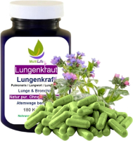 LUNGENKRAUT Pur 720 Kapseln Lungenkraft - Lunge & Atemwege NATÜRLICH verwöhnen [OHNE ZUSATZSTOFFE]