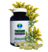 Echte Goldrute Solidago 180 Pulver Kapseln Nieren Blase Harnwege [OHNE Zusatzstoffe]