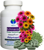 ECHINACEA purpurea 180 Kapseln PURPUR SONNENHUT ImmunFitKraut & Nerven ADAPTOGEN. 100% Natur pur. OHNE ZUSATZSTOFFE.