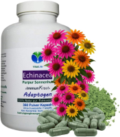 ECHINACEA purpurea 360 Kapseln PURPUR SONNENHUT ImmunFitKraut & Nerven ADAPTOGEN 100% Natur pur. OHNE ZUSATZSTOFFE.