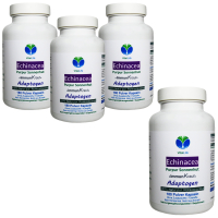 ECHINACEA purpurea 720 (4x180) Kapseln PURPUR SONNENHUT ImmunFitKraut & Nerven ADAPTOGEN 100% Natur pur. OHNE ZUSATZSTOFFE! 3 + 1 Dose GRATIS.