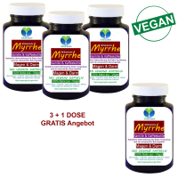 Myrrhe Kamille Kaffeekohle VEGAN 720 Kapseln für Verdauung, Magen-Darm-Balance. Pflanzlich, ohne Zusatzstoffe.