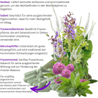Wechseljahre Komplex VEGAN 360 Kapseln, Menopause Formel, Hormon Balance für Frauen ab 40