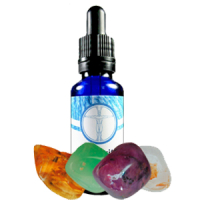 Hildegard von Bingen Hausapotheke Gottes Hildegardessenzen 30ml alkoholkonserviert