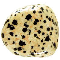 Dalmatiner Jaspis Schmeichelstein ca. 3-6cm