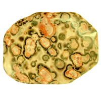 Leopardenjaspis Schmeichelstein ca. 3-6cm