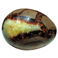 Septarien Schmeichelstein ca. 2-4cm