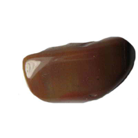 Versteinertes Holz Schmeichelstein ca. 3-6cm