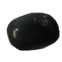 Versteinertes Palmholz Schmeichelstein, ca. 2-4cm