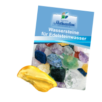 Bernstein Wasserstein