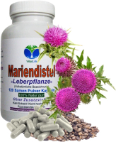 Mariendistel Sylimarin 120 Samen Pulver Kapseln