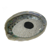 Räuchern Starter Set: Kohle + Sand + Zange + Räucherschale (Muschel) 6-tlg