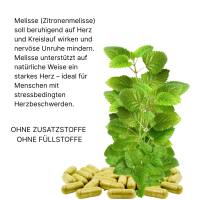 Melisse Zitronenmelisse 120 Kapseln NERVENKRAUT FRAUENWOHL HERZTROST 100% NATUR PUR - OHNE Zusatzstoffe!