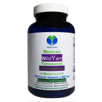 Mexican Wild Yam Yamswurzel 120 Pulver Kapseln
