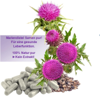 Mariendistel Silymarin 720 Samen Pulver Kapseln