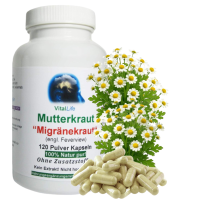 MUTTERKRAUT 120 Kapseln Migränekraut nach HILDEGARD VON BINGEN bei Kopfgewitter NATURDOSIERT = 100% NATUR pur. OHNE ZUSATZSTOFFE.