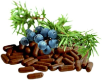 Acerola Natürliches Vitamin C 720 Pulver Kapseln