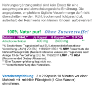 Artischocke Leberpflanze 120 Pulver Kapseln