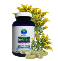 Echte Goldrute Solidago 120 Pulver Kapseln Nieren Blase Harnwege [OHNE Zusatzstoffe]