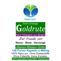 Echte Goldrute Solidago 120 Pulver Kapseln Nieren Blase Harnwege [OHNE Zusatzstoffe]
