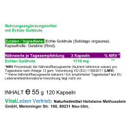 Echte Goldrute Solidago 120 Pulver Kapseln Nieren Blase Harnwege [OHNE Zusatzstoffe]