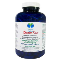 DarmKur Flohsamenschalen Bentonit & Präbiotika 360 Pulver Kapseln