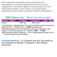 Ballaststoff Inulin 120 Pulver Kapseln