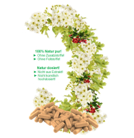 WEISSDORN Weißdorn Wirkung NATUR pur 120 Kapseln HERZKRAUT HERZ & KREISLAUF in SCHWUNG [BLÄTTER + BLÜTEN + BEEREN] NICHT Hochdosiert [OHNE Zusatzstoffe]