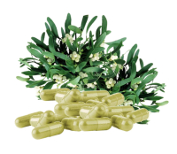 MISTEL Mistelkraut Mistletoe 180 Pulver Kapseln [OHNE Zusatzstoffe]