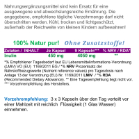 Ballaststoff Inulin 360 Pulver Kapseln