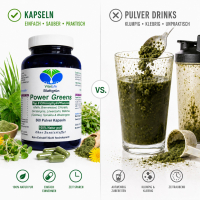 Green Power Greens 8x Chlorophyll Supergreens 360 Pulver Kapseln Alfalfa Brennnessel Chlorella Gerstengras Löwenzahn Matcha Spirulina Weizengras. Natur pur. Ohne Zusatzstoffe.