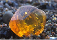 Baltischer Natur Bernstein Schmuck ca. 1,5cm - 925er Silber Öse mit Täschchen & Lederband