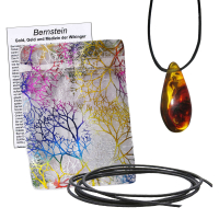 Bernstein Anhänger gebohrt mit Band & Zertifikat AA ca.3-3,5cm