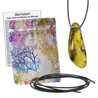 Bernstein Anhänger gebohrt mit Band & Zertifikat M ca.4,5-5cm