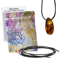 Bernstein Anhänger gebohrt mit Band & Zertifikat L ca.2,5-3cm