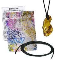 Bernstein Anhänger gebohrt mit Band & Zertifikat XL ca.3-3,5cm