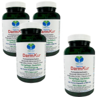 DarmKur Flohsamenschalen Bentonit & Präbiotika 720 Pulver Kapseln