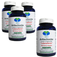 Artischocke Leberpflanze 720 Pulver Kapseln