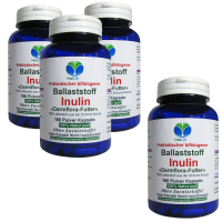 Ballaststoff Inulin 720 (4x180) Pulver Kapseln