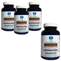 Löwenzahn Wurzel Dandelion Root 720 Pulver Kapseln