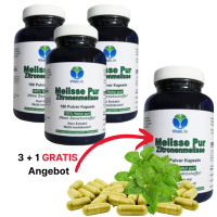 Melisse Zitronenmelisse 720 Kapseln NERVENKRAUT FRAUENWOHL HERZTROST 100% NATUR PUR - OHNE Zusatzstoffe!